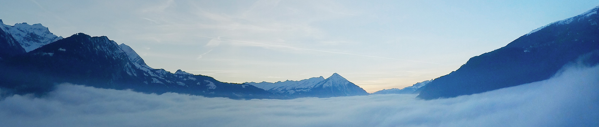 �ŵ�88��(�й���)�ٷ���վ