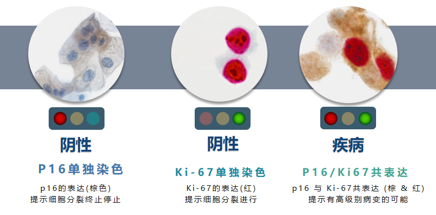 1741332484577857.png ͼƬ 4.png